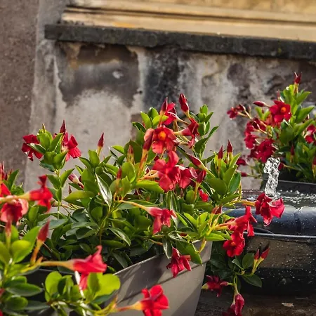 Ag Spanish Steps Terrace شقة